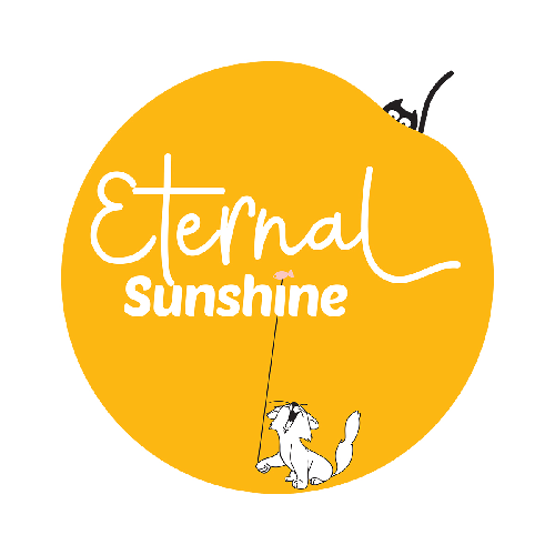 Eternal Sunshine Productions