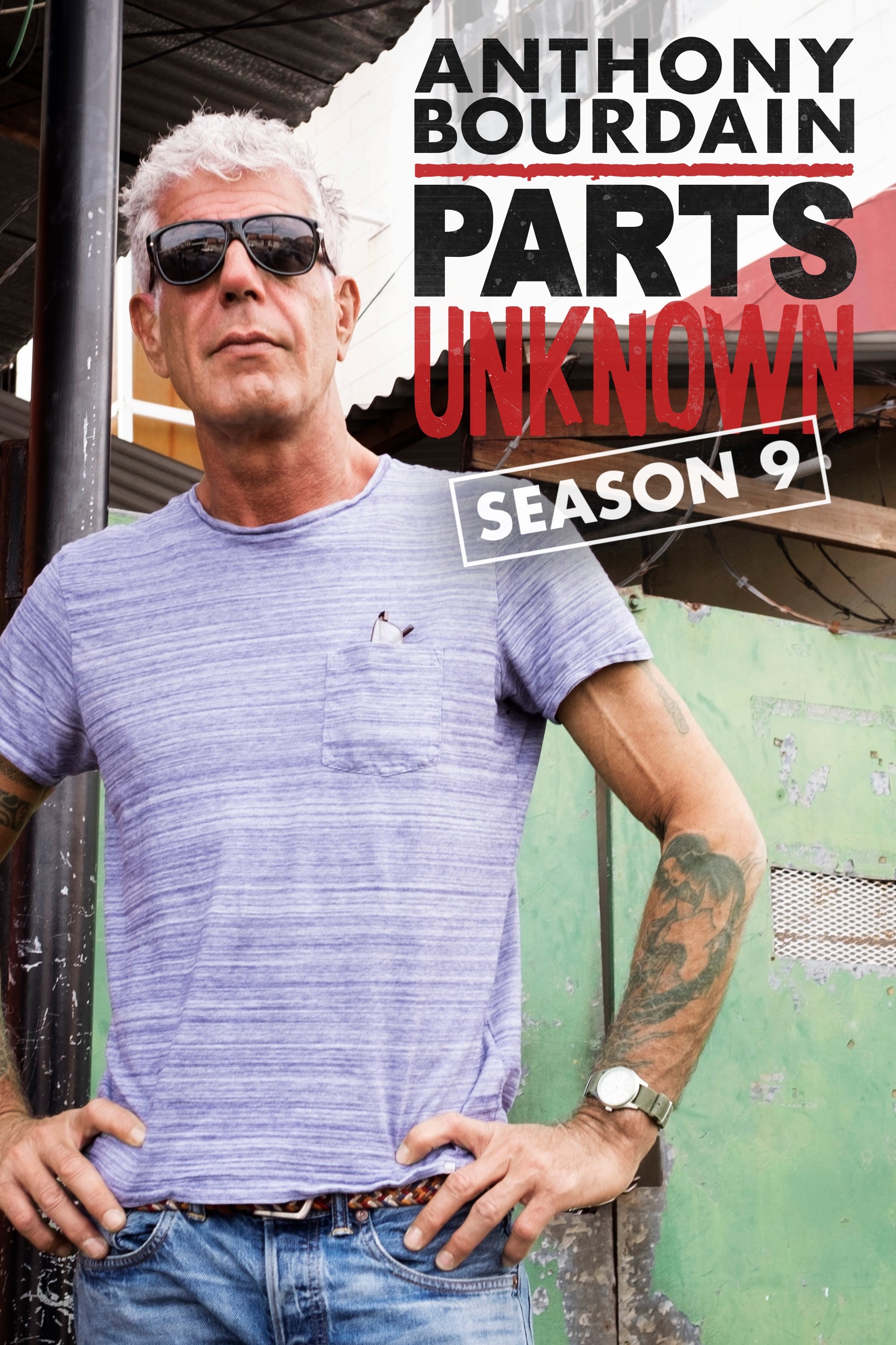 Сезон 9