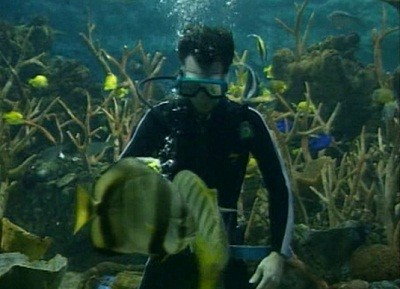 Fish