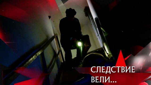 Episode 29
