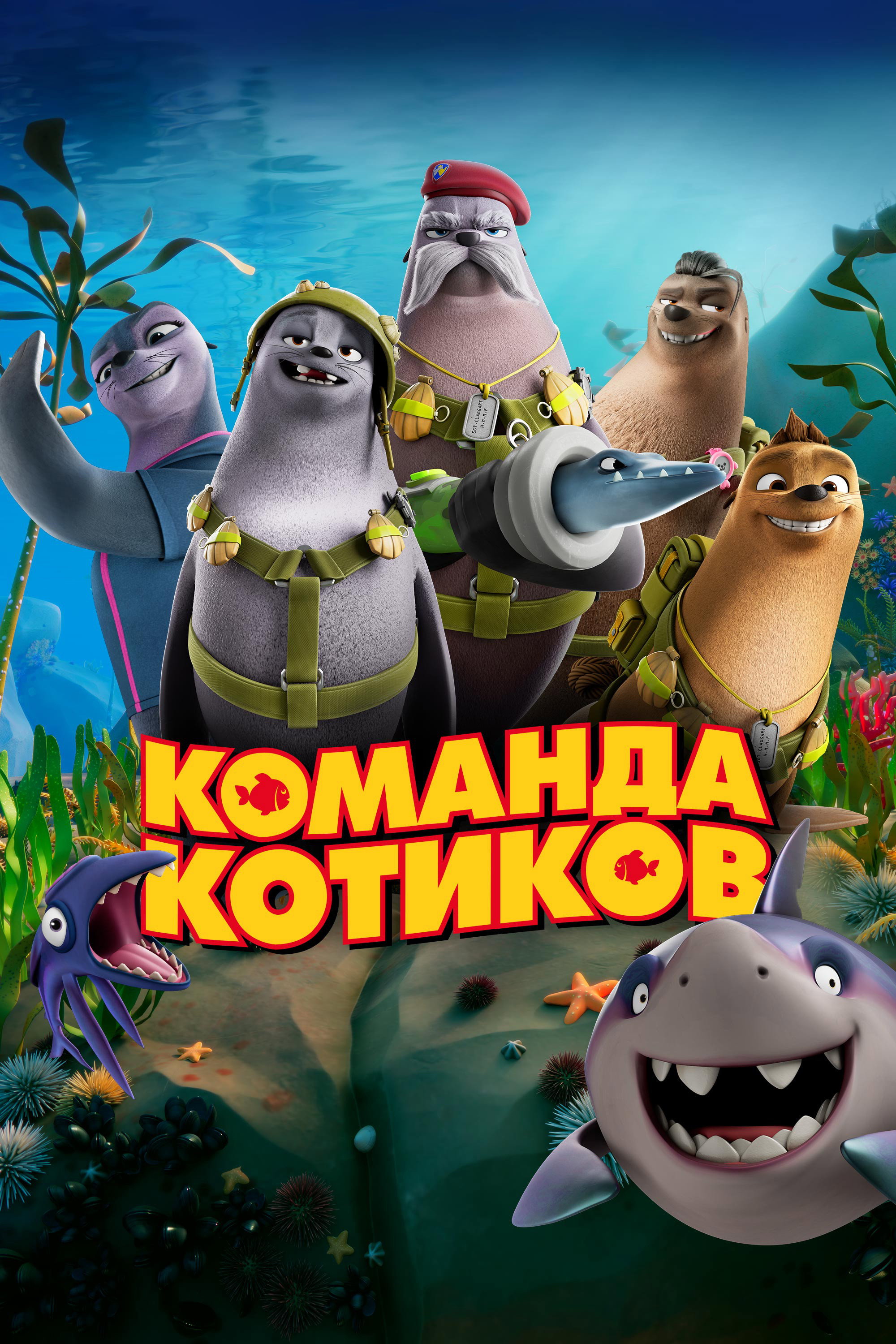 Команда котиков