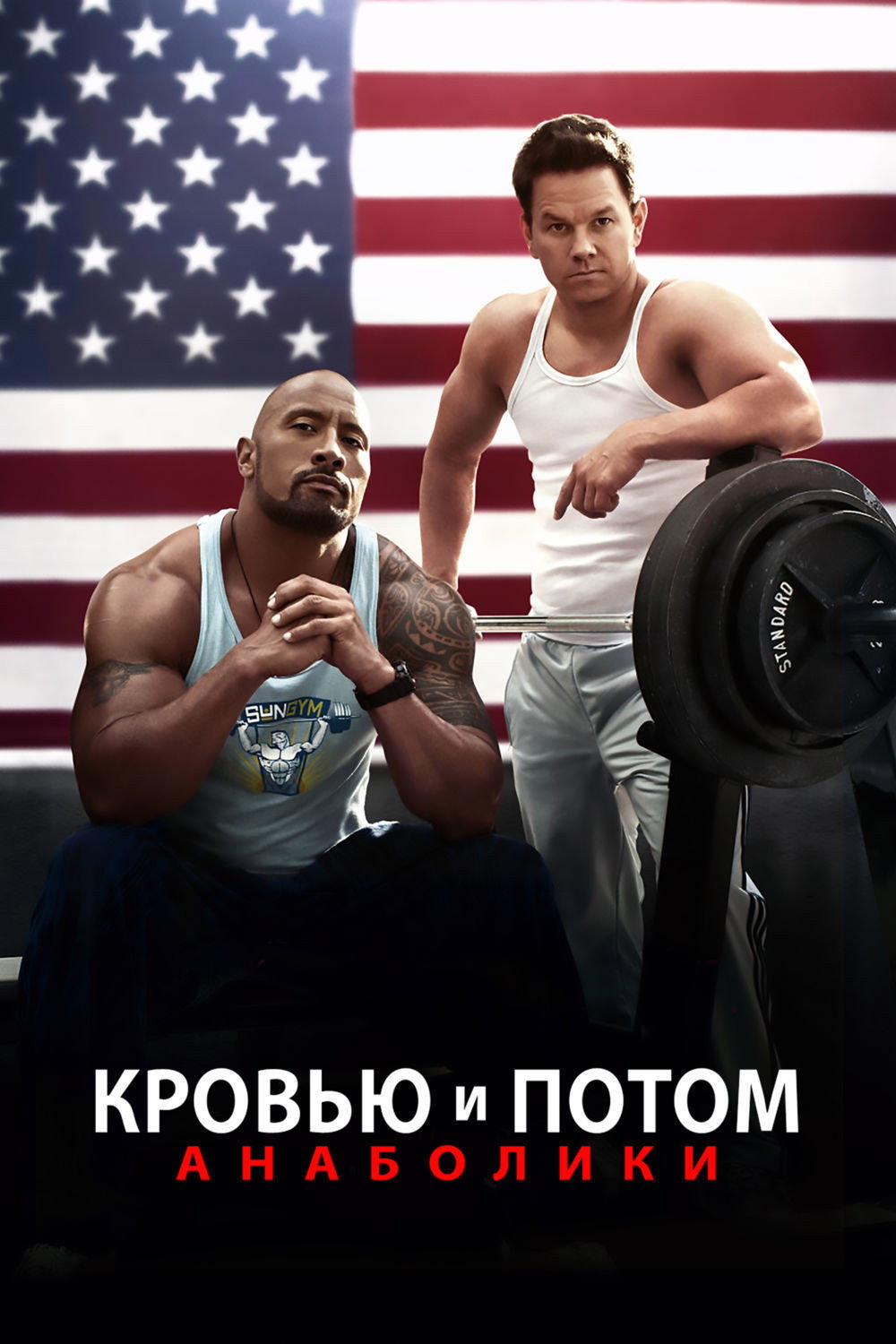 Pain & Gain