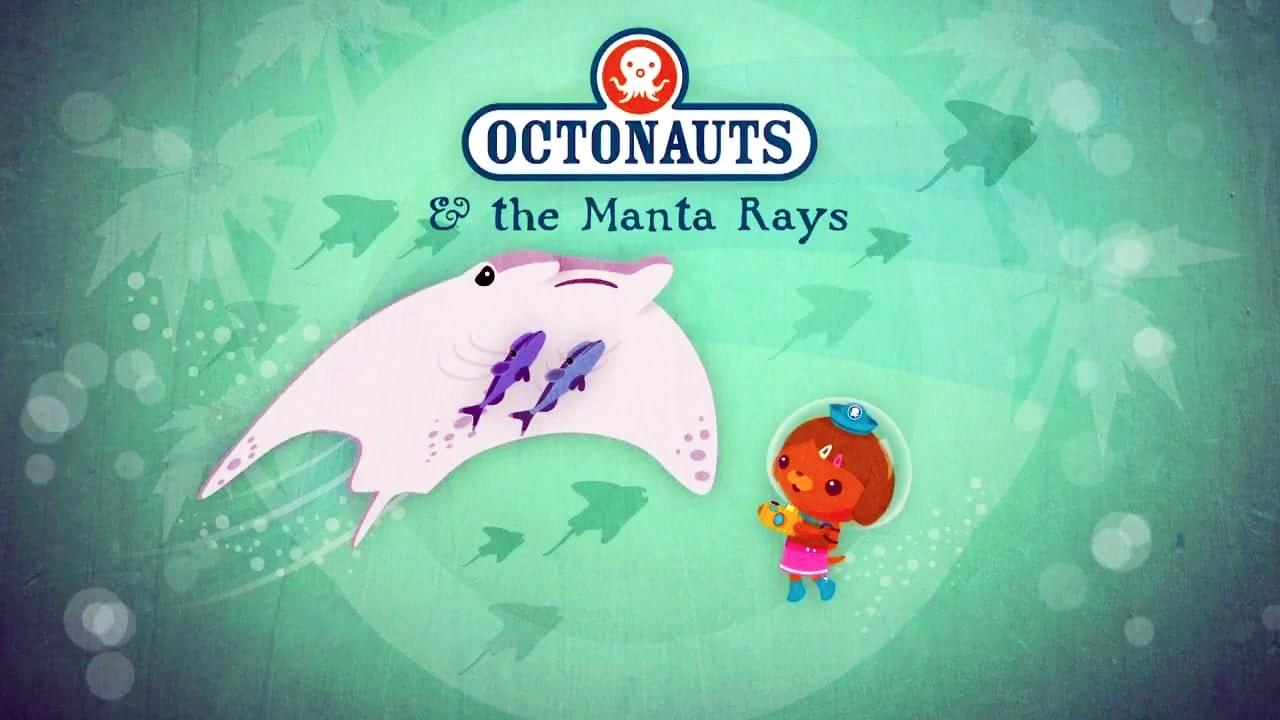 The Manta Rays