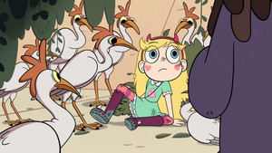 Star vs. Echo Creek