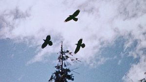 Эпизод 20