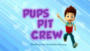 Pups Pit Crew