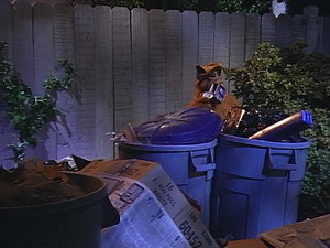 Счастливы вместе