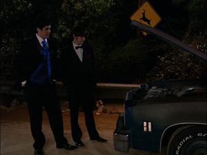The Wedding