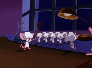 Pinky And The Brainmaker