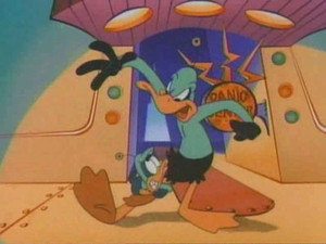 The Return to the Acme Acres Zone