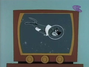 Missile Bound Cat
