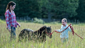 A Horse with No Rider