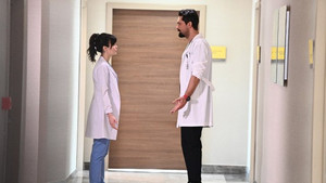 Episode 17