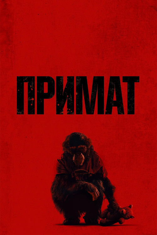 Примат