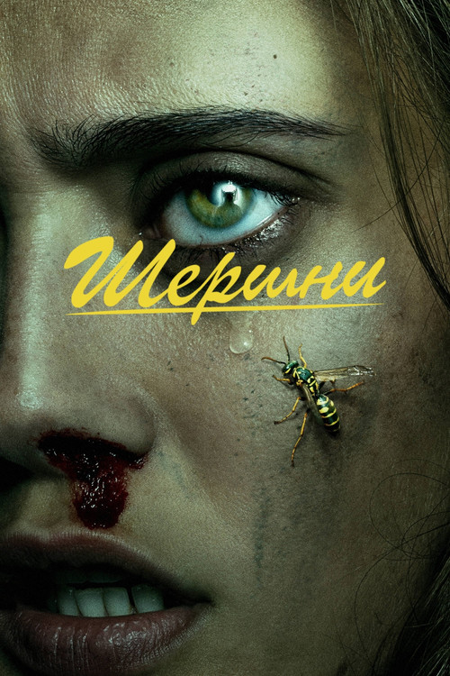 Сезон 1