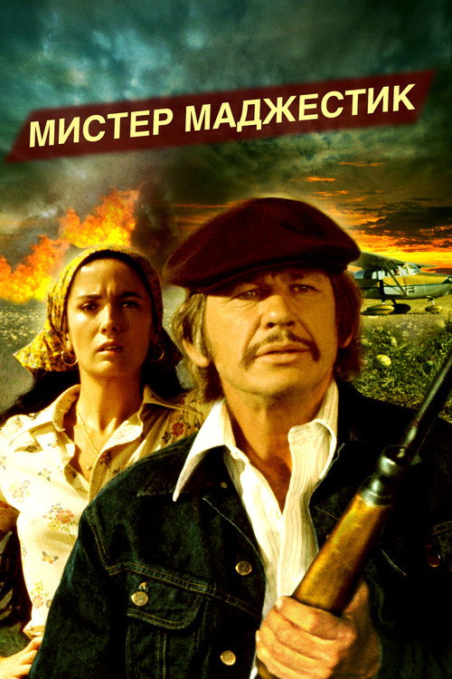 Mr. Majestyk