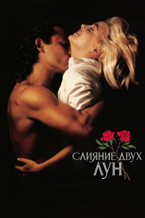 Two Moon Junction
