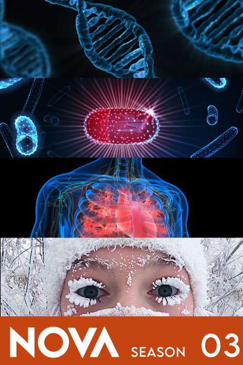 Сезон 3