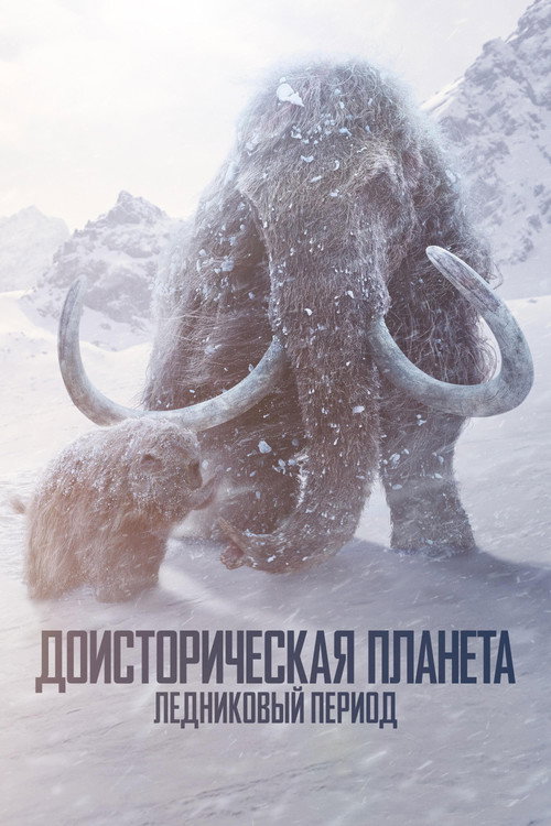 Сезон 3