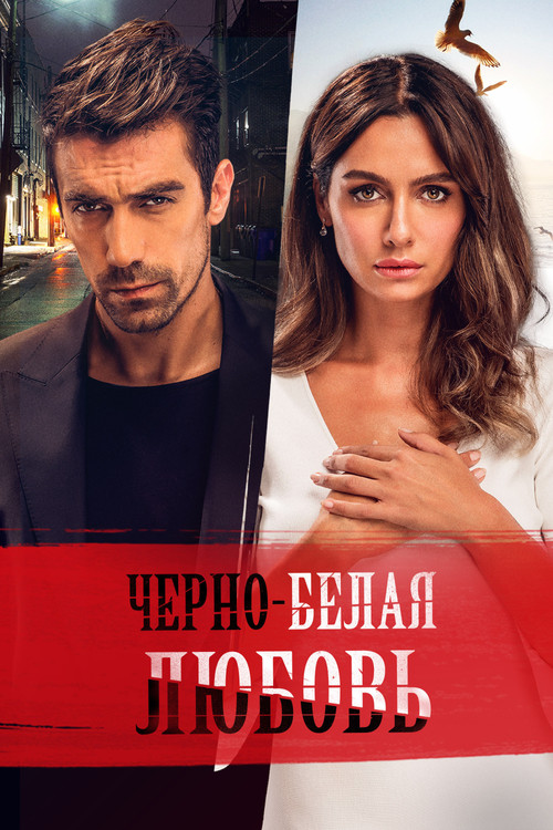 Чёрно-белая любовь