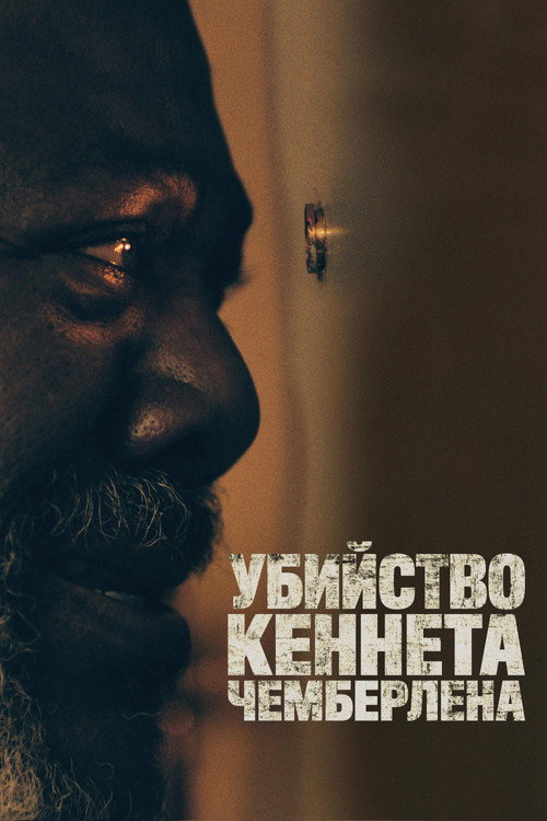 The Killing of Kenneth Chamberlain