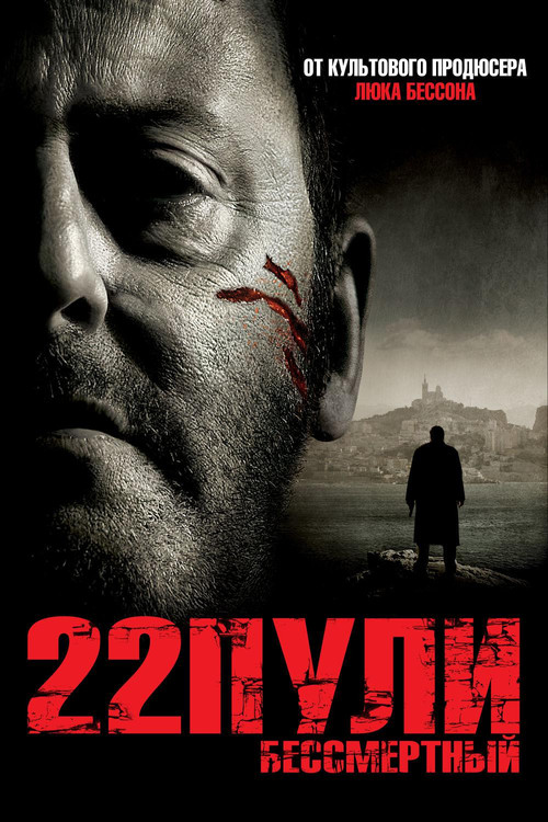 22 Bullets