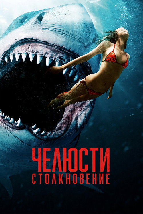 Shark Bait