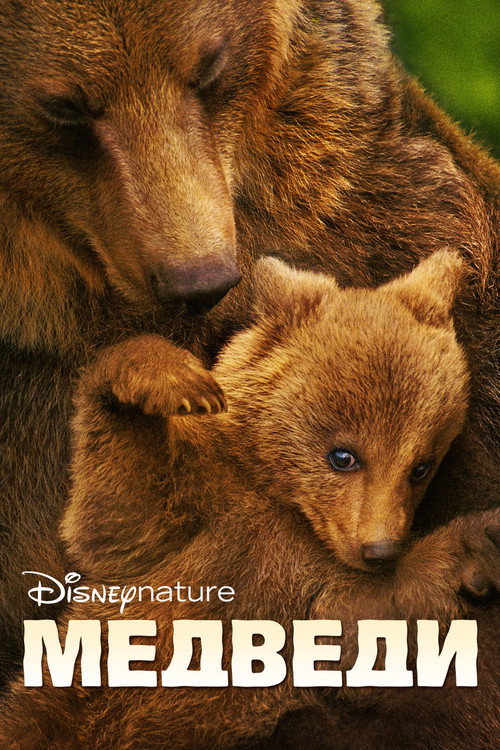Bears