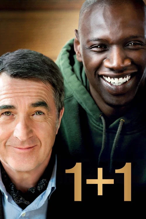 1+1